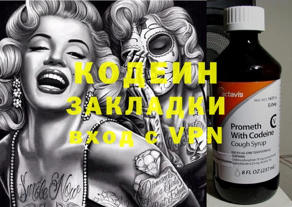 твердый Новозыбков