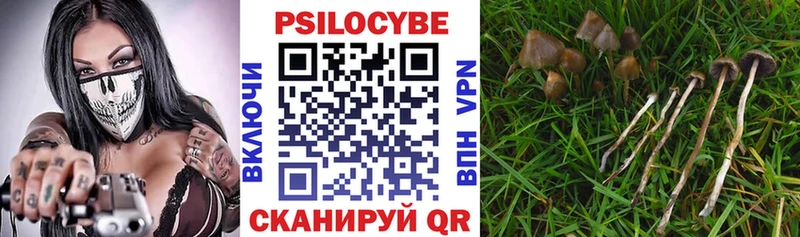 Псилоцибиновые грибы ЛСД цена наркотик Поронайск