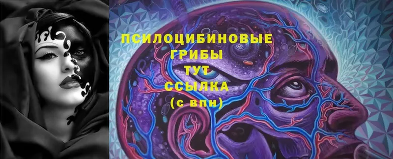 Галлюциногенные грибы Cubensis  Поронайск 